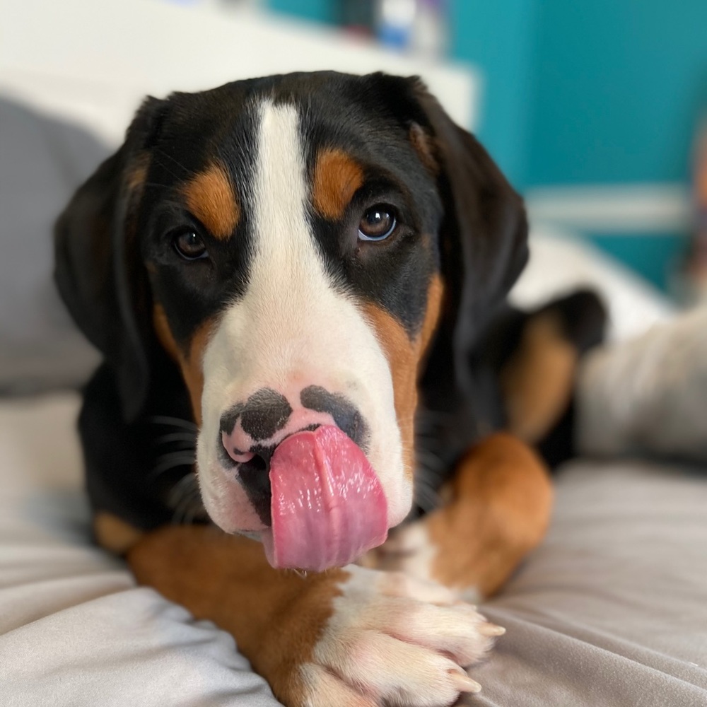 Meet your Posher, Makena